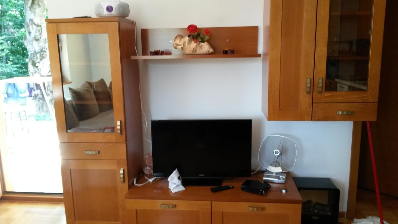 Apartment Joksimovic Zlatibor Exterior photo
